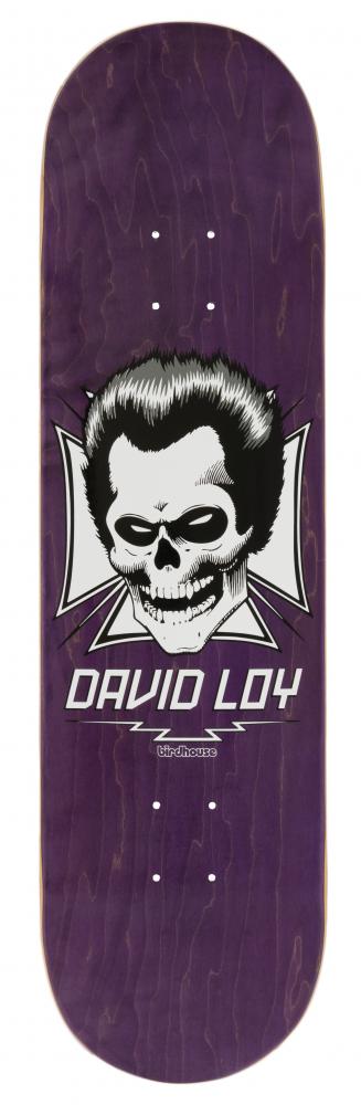 8.38IN Birdhouse Pro Deck Loy Skull
