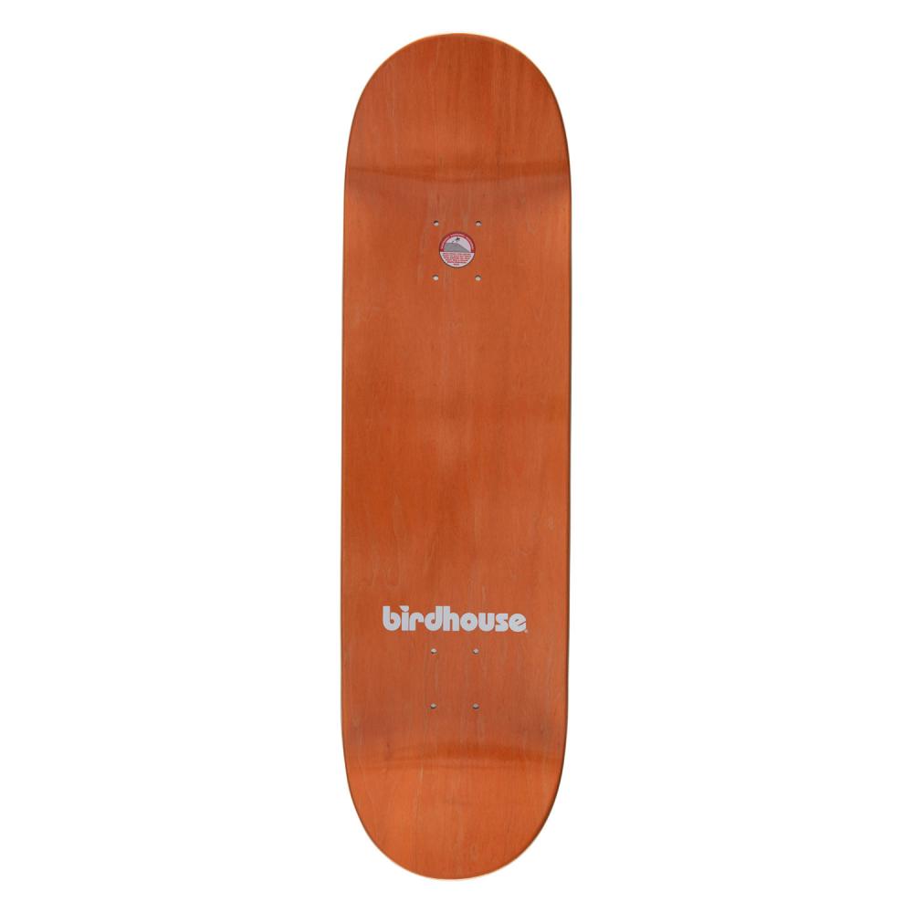 8.75IN Birdhouse Pro Deck Sloan Todaro