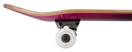 7.75IN Rocket Complete Skateboard