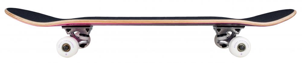 7.75IN Rocket Complete Skateboard