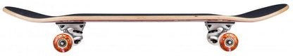 7.75IN Rocket Complete Skateboard